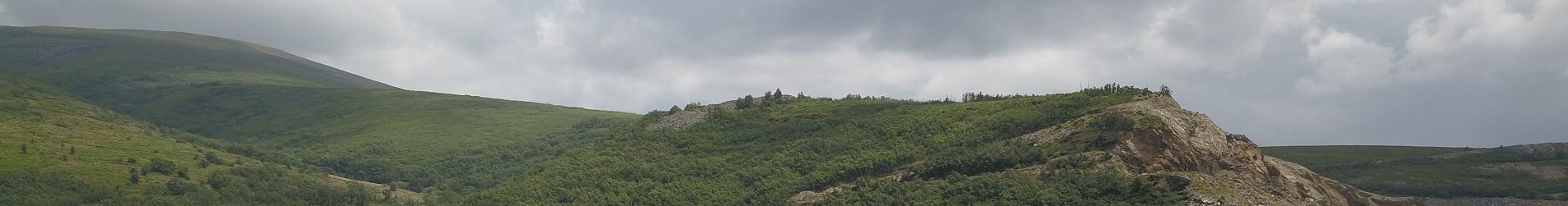 samaca empresa